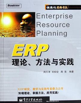 ERP理论方法与实践/信息化经典书丛 pdf epub mobi 电子书 下载