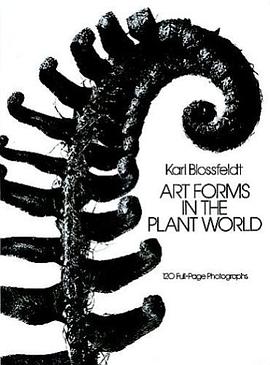Art Forms in the Plant World pdf epub mobi 电子书 下载