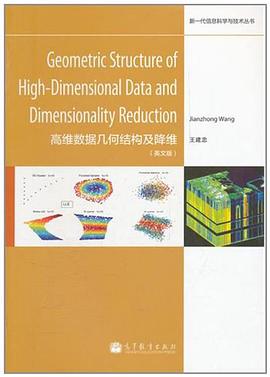 高维数据几何结构及降维 pdf epub mobi 电子书 下载