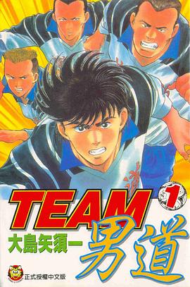 TEAM男道 pdf epub mobi 电子书 下载