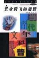 企业腾飞的翅膀 pdf epub mobi 电子书 下载