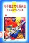 青少年电子入门快车:电子管放大电路实践 (平装) pdf epub mobi 电子书 下载