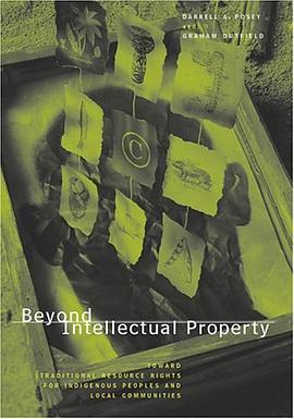 Beyond Intellectual Property pdf epub mobi 电子书 下载