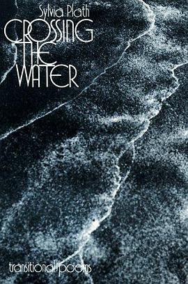 Crossing the Water pdf epub mobi 电子书 下载
