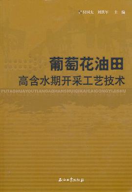 葡萄花油田高含水期开采工艺技术 pdf epub mobi 电子书 下载