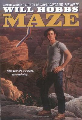 The Maze pdf epub mobi 电子书 下载