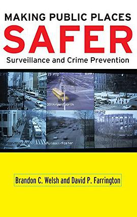 Making Public Places Safer pdf epub mobi 下载