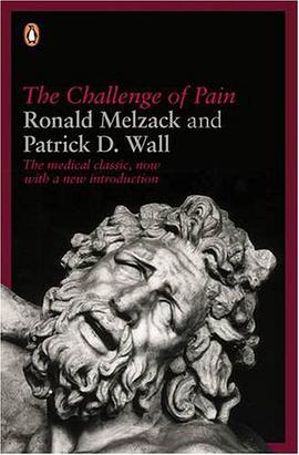 The Challenge of Pain pdf epub mobi 电子书 下载