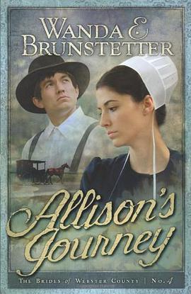 Allison's Journey pdf epub mobi 电子书 下载