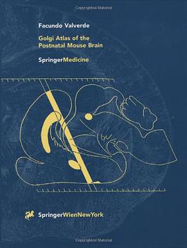 Golgi Atlas of the Postnatal Mouse Brain pdf epub mobi 电子书 下载