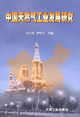 中國天然氣工業發展研究 pdf epub mobi 電子書 下載