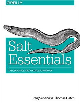 Salt Essentials pdf epub mobi 电子书 下载