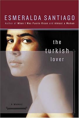 The Turkish Lover pdf epub mobi 电子书 下载