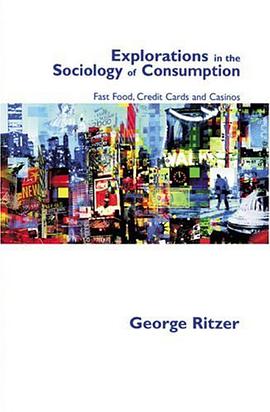 Explorations in the Sociology of Consumption pdf epub mobi 电子书 下载