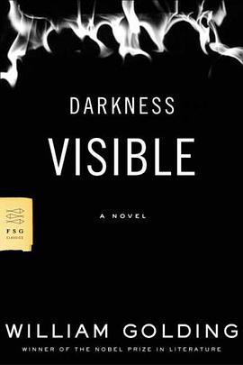 Darkness Visible pdf epub mobi 电子书 下载