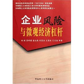 企業風險與微觀經濟杠杆 pdf epub mobi 電子書 下載