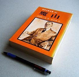 魔山 pdf epub mobi 电子书 下载