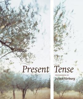 Present Tense pdf epub mobi 電子書 下載
