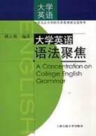 大学英语语法聚焦 pdf epub mobi 电子书 下载