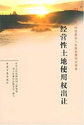 经营性土地使用权出让 pdf epub mobi 电子书 下载