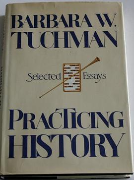 Practicing History pdf epub mobi 电子书 下载