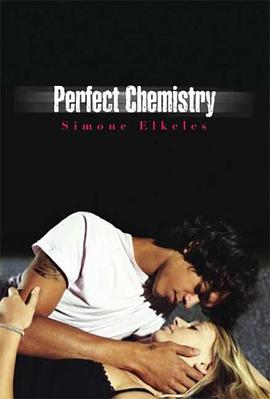Perfect Chemistry pdf epub mobi 电子书 下载