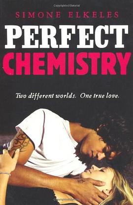 Perfect Chemistry pdf epub mobi 電子書 下載
