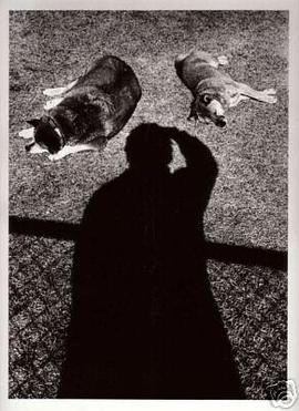 Memories of a Dog pdf epub mobi 下载