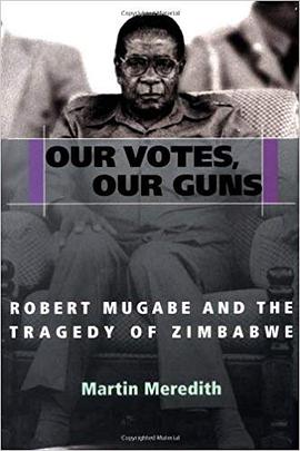 Our Votes, Our Guns pdf epub mobi 下载