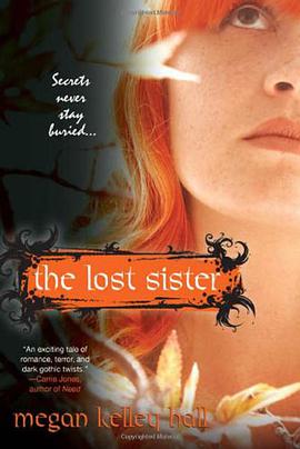Lost Sister pdf epub mobi 电子书 下载