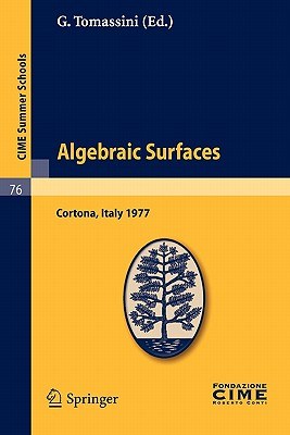 Algebraic Surfaces pdf epub mobi 下载