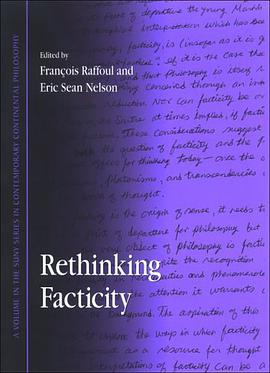 Rethinking Facticity pdf epub mobi 电子书 下载