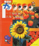 一个向日葵只有一朵花吗 pdf epub mobi 电子书 下载