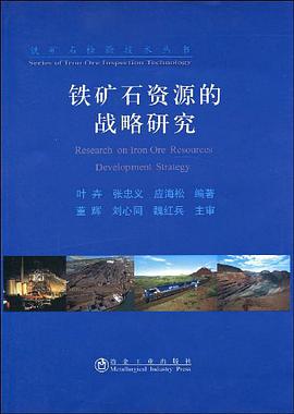 铁矿石资源的战略研究 pdf epub mobi 电子书 下载