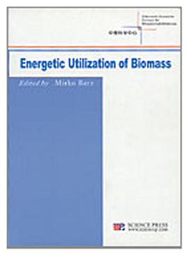 Energetic Utilization of Biomass pdf epub mobi 电子书 下载