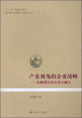 产业视角的企业战略 pdf epub mobi 电子书 下载