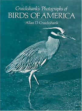 Photographs of Birds of America pdf epub mobi 电子书 下载