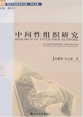 中间性组织研究 pdf epub mobi 电子书 下载