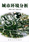 城市环境分析