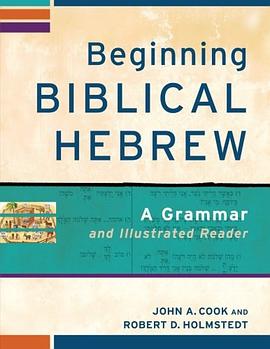 Beginning Biblical Hebrew pdf epub mobi 电子书 下载