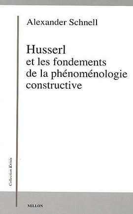 Husserl et les fondements de la phénoménologie constructive pdf epub mobi 电子书 下载