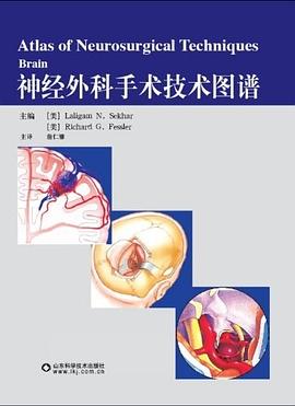 神经外科手术技术图谱 pdf epub mobi 电子书 下载