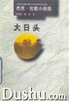 大日头 pdf epub mobi 电子书 下载
