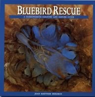Bluebird Rescue pdf epub mobi 电子书 下载
