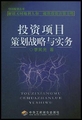 投资项目策划战略与实务 pdf epub mobi 电子书 下载