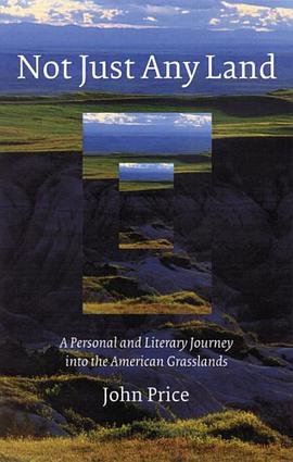 Not Just Any Land pdf epub mobi 电子书 下载