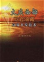 大庆西部砂岩油藏高效开发技术 pdf epub mobi 电子书 下载