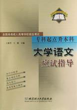 大学语文应试指导 pdf epub mobi 电子书 下载