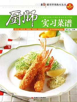 厨师实习菜谱 pdf epub mobi 电子书 下载