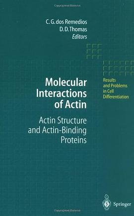 Molecular Interactions of Actin pdf epub mobi 电子书 下载